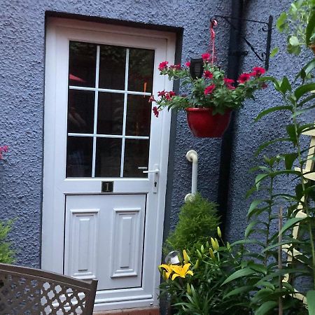 Mountroyal Victorian Studio Self Catering Apartment 3 Belfast Exteriér fotografie