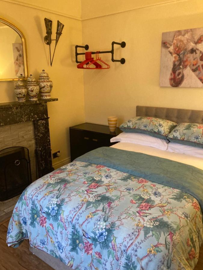 Mountroyal Victorian Studio Self Catering Apartment 3 Belfast Exteriér fotografie