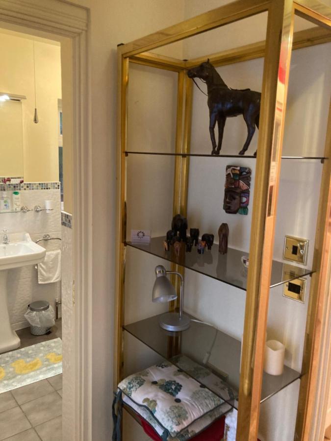 Mountroyal Victorian Studio Self Catering Apartment 3 Belfast Exteriér fotografie