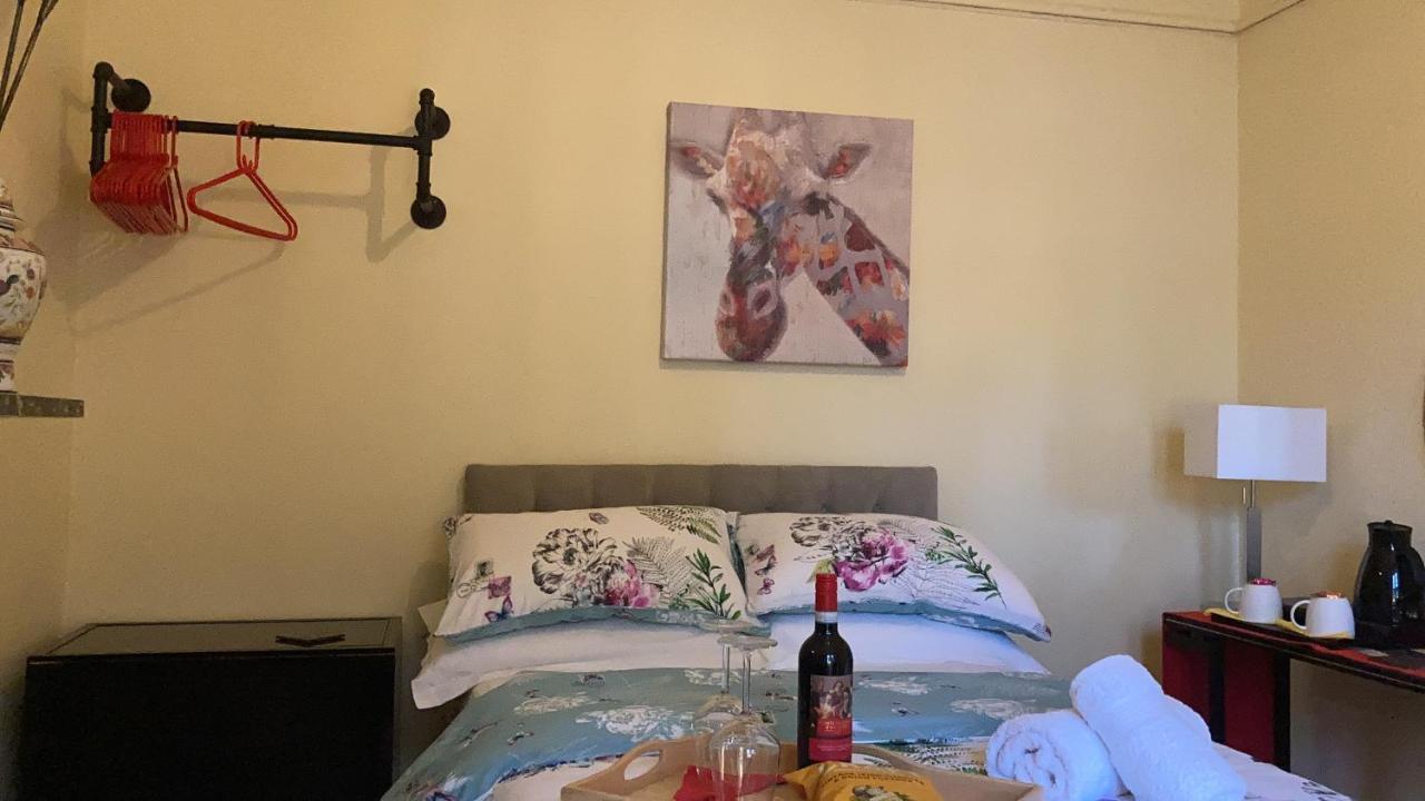 Mountroyal Victorian Studio Self Catering Apartment 3 Belfast Exteriér fotografie