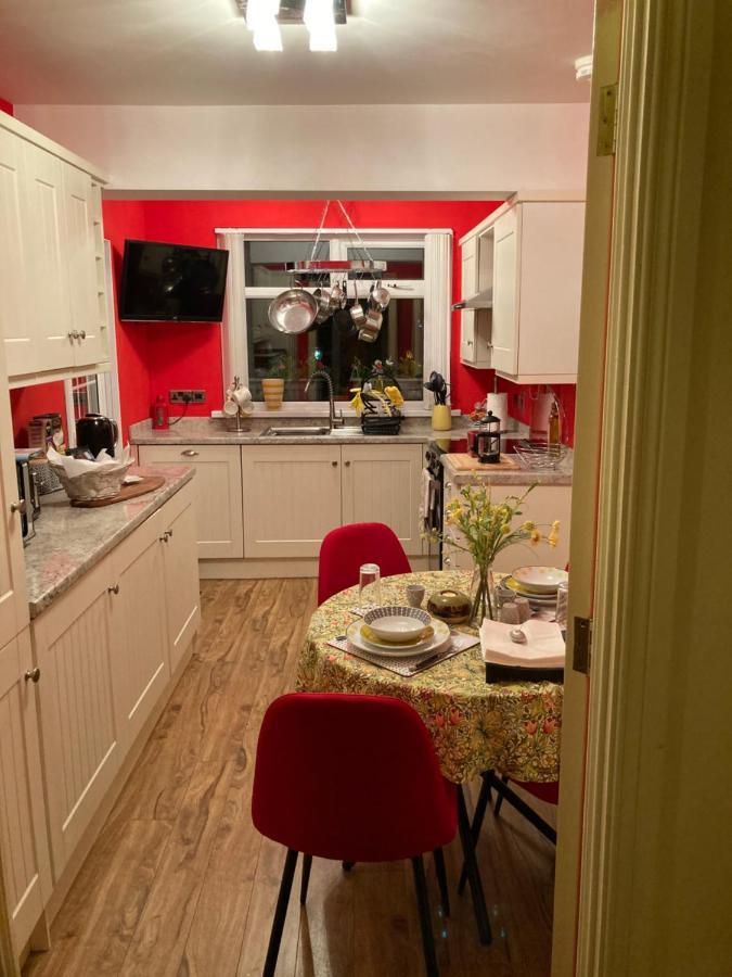 Mountroyal Victorian Studio Self Catering Apartment 3 Belfast Exteriér fotografie