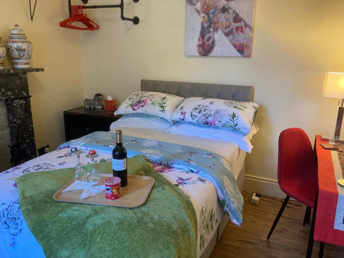 Mountroyal Victorian Studio Self Catering Apartment 3 Belfast Exteriér fotografie