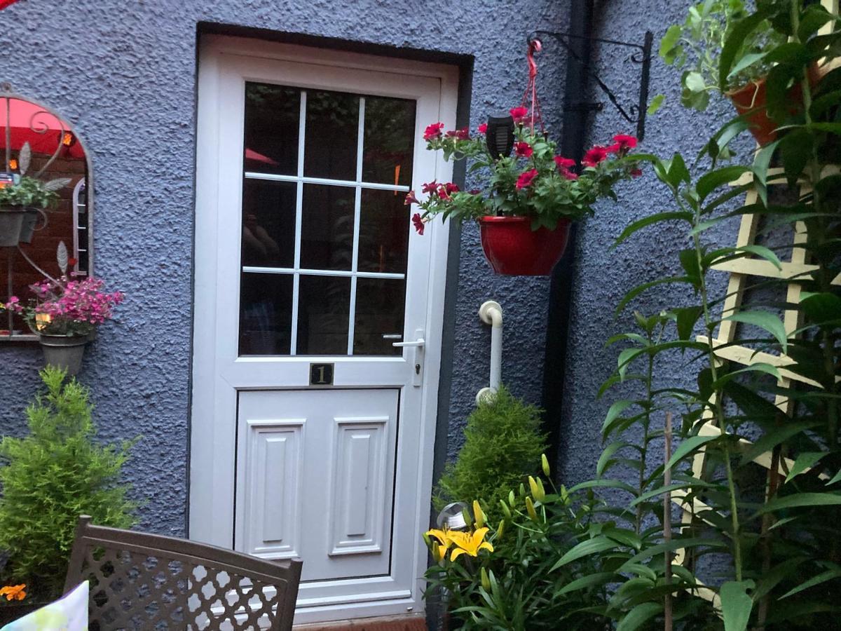 Mountroyal Victorian Studio Self Catering Apartment 3 Belfast Exteriér fotografie