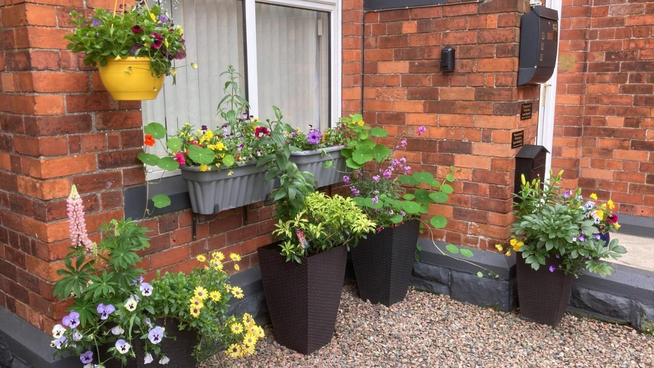 Mountroyal Victorian Studio Self Catering Apartment 3 Belfast Exteriér fotografie