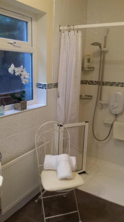 Mountroyal Victorian Studio Self Catering Apartment 3 Belfast Exteriér fotografie